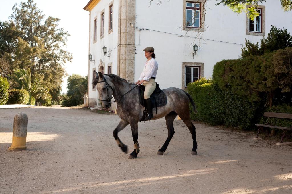 Quinta dos Álamos Agroturismo