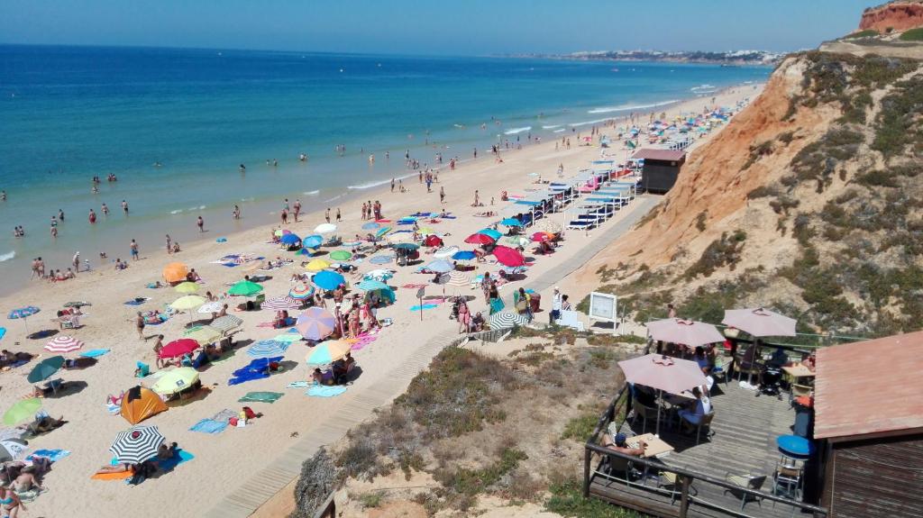 Beach Falésia Alfamar