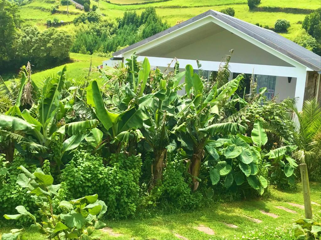 Azores Casa Hawaii