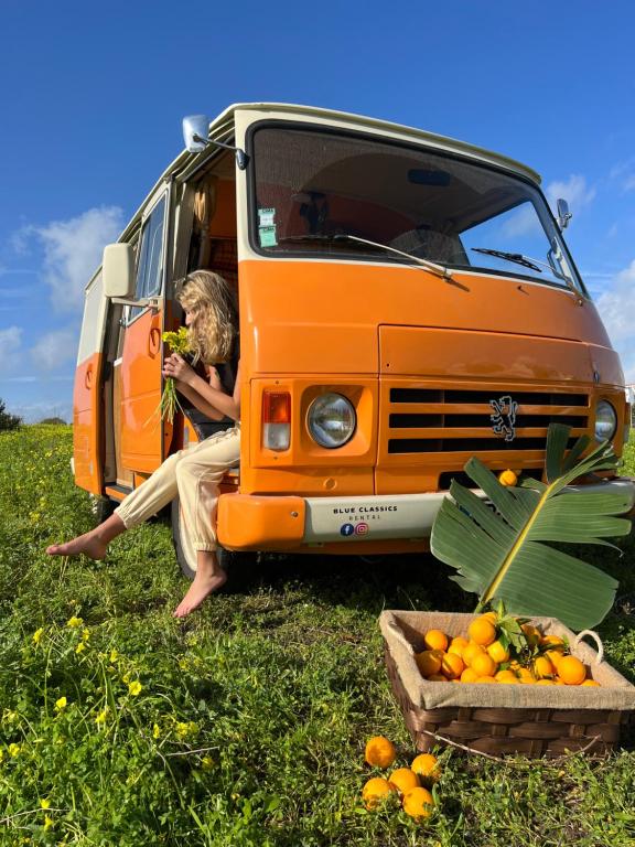 Rent a BlueClassics 's Campervan combi J9 en Algarve au Port