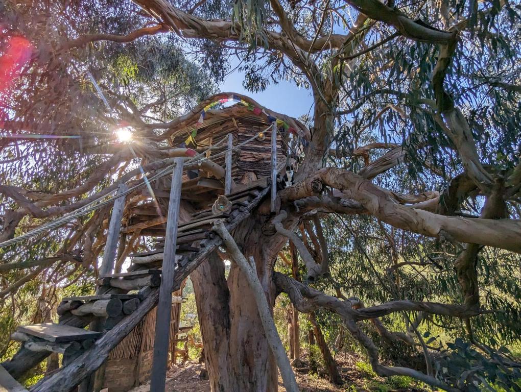 Magical Treehouse