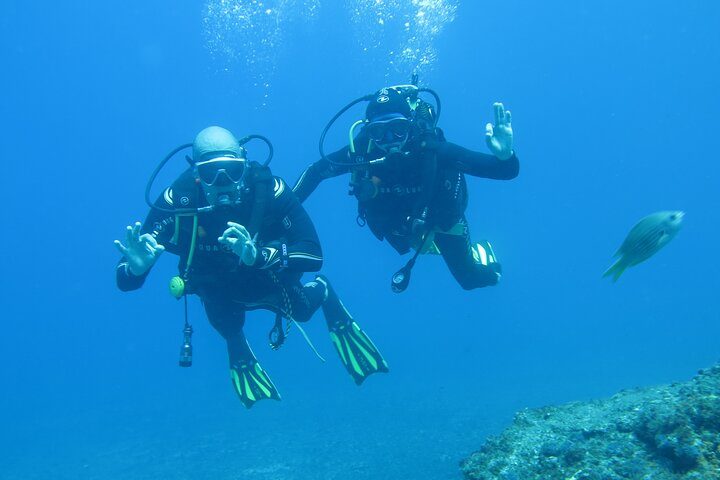 Sesimbra Dive Discovery