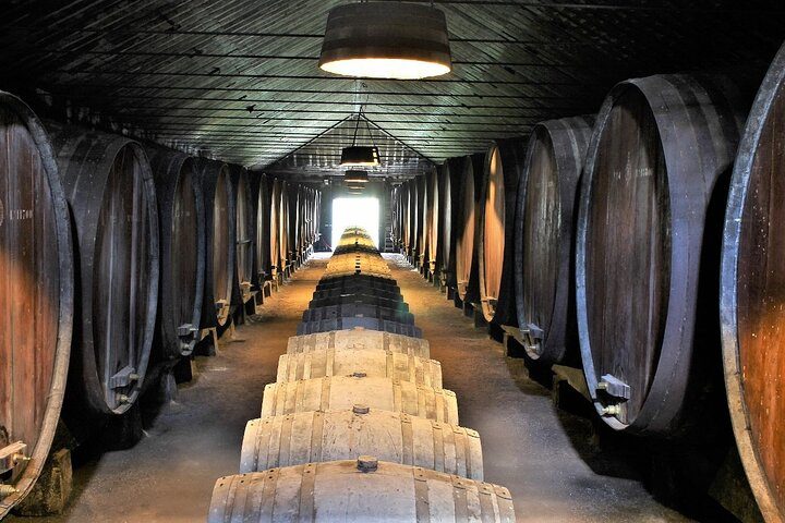 Private Wine Tasting in the Setúbal Wine Region, from Lisbon