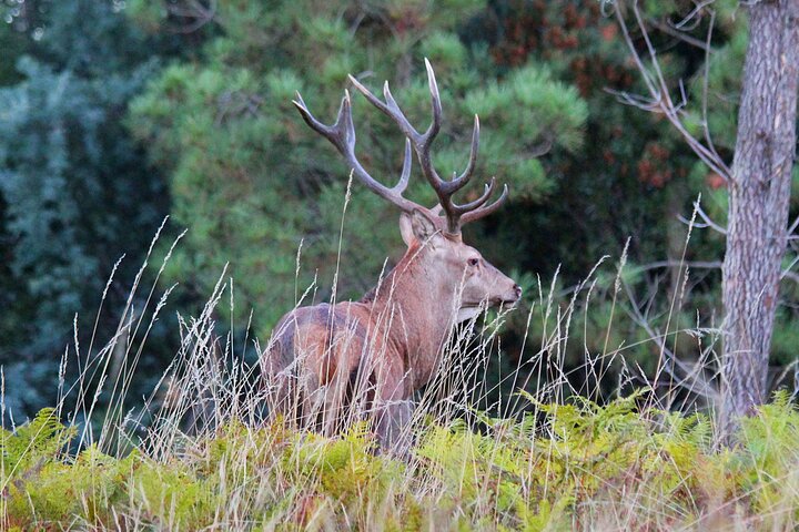 Discovering Nature in Serra da Lousã