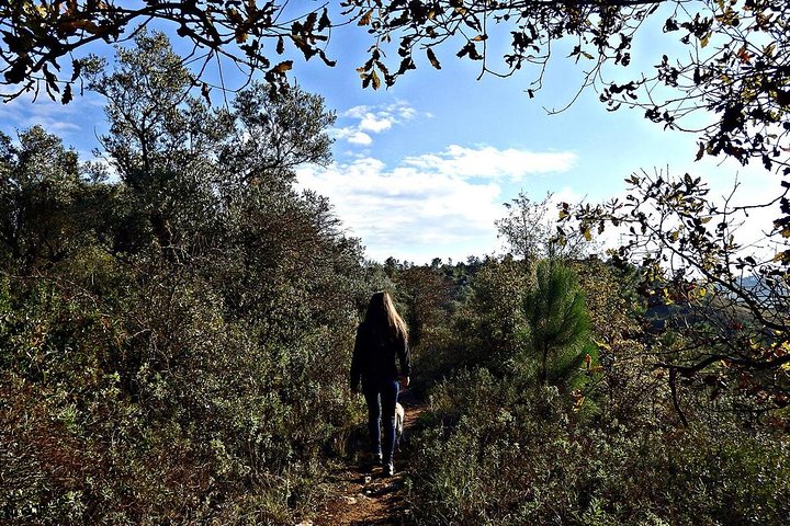 A journey through the forgotten Sierra ... - Serra de Brasfemes, Coimbra