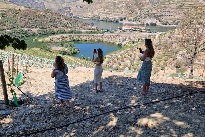 Douro Valley Tour: Wine Tasting River Cruise and Lunch from Porto