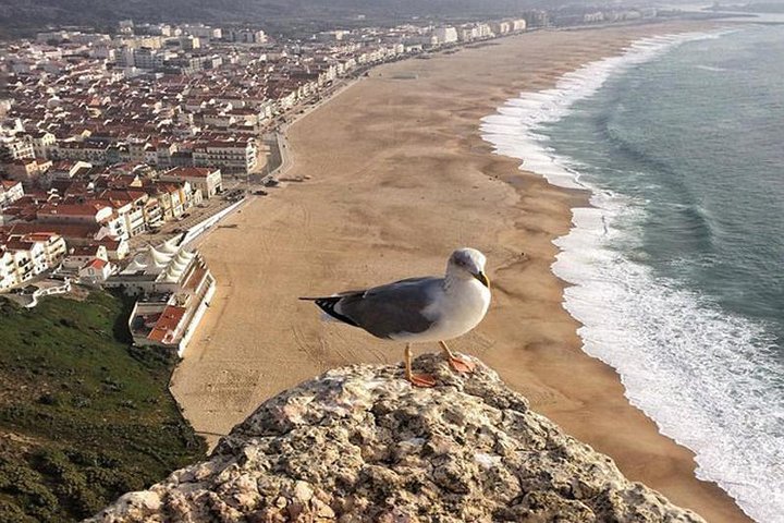 Fatima, Batalha, Nazare, Obidos Full-Day Group Tour from Lisbon