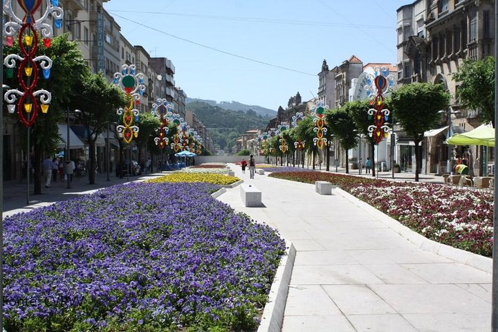Private tour to Ponte de Lima, Vinho Verde region