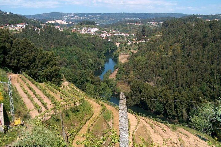 Private Tour to Melgaço and Monção, the heart of the Alvarinho region