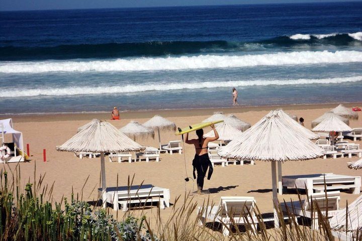 Surf Lesson with transfer