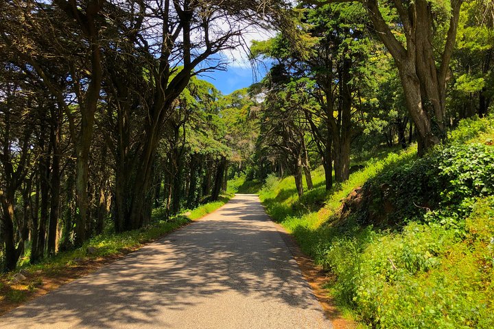 E-Bike Self-Guided Sintra - Cascais (Private Tour from Lisbon)