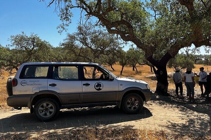 4x4 Cork Tour with Optional Lunch