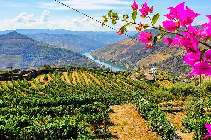 Douro Valley: Food and Wine Small Group Tour from Porto 