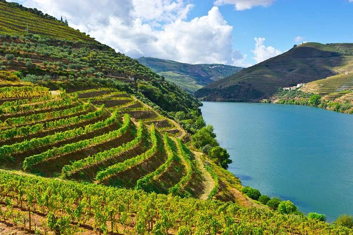 Douro Valley wine private day trip from Porto