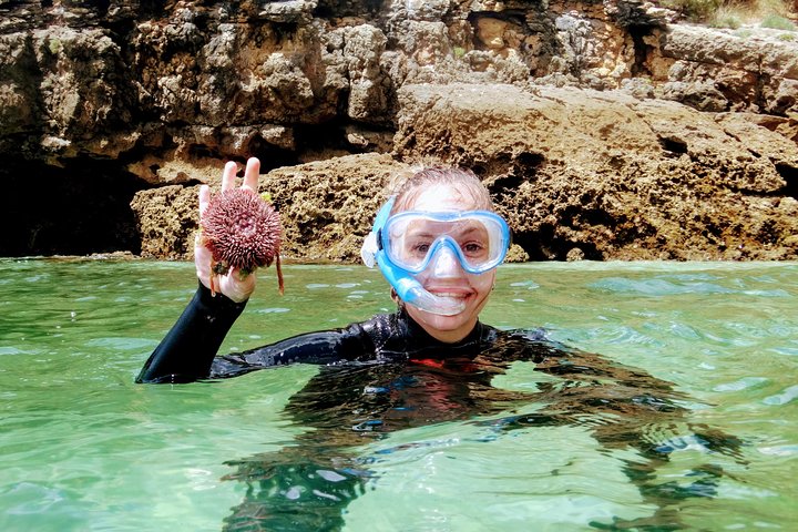 Arrábida Snorkeling Adventure with Transfer from Lisbon