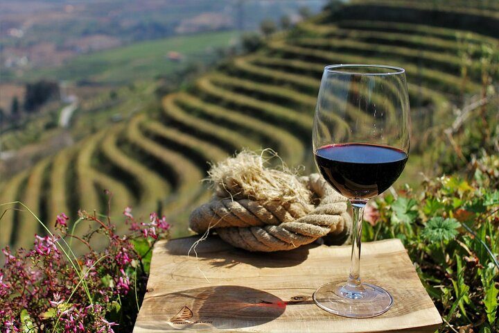 Douro Valley Tour: 3 Wineries, 9 Wine Tastings and Lunch