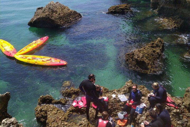 Full Day Kayak&Coasteering Adventure