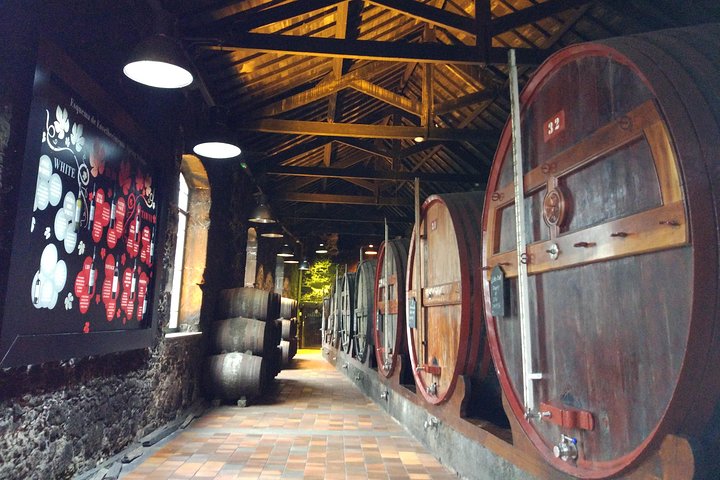 Port Wine Lodges Tour Including 7 Port Wine Tastings (English)