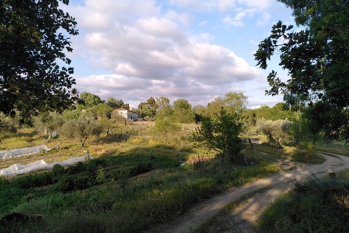 Educational visit of a Certified Organic Micro Farm in Trancoso