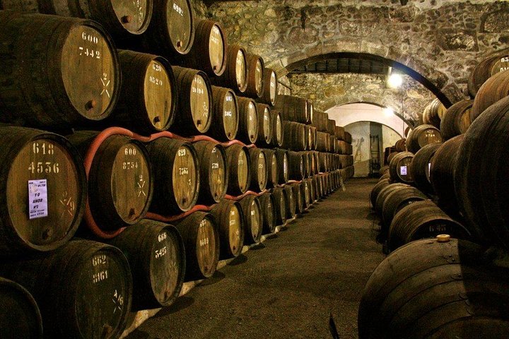 Porto Wine Tour with Tasting and Wine Houses Visit 