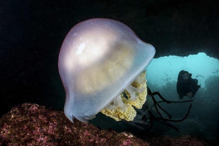 Try diving, breathing underwater Lisbon region