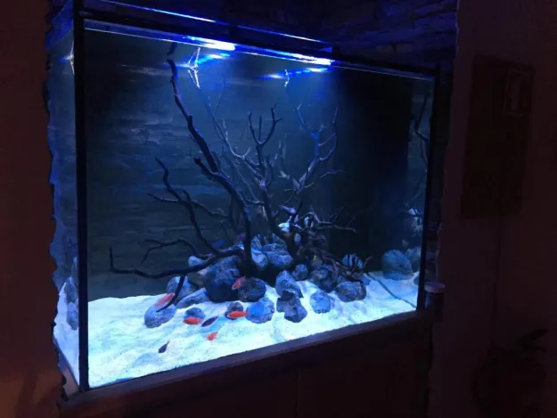 Aquarium House