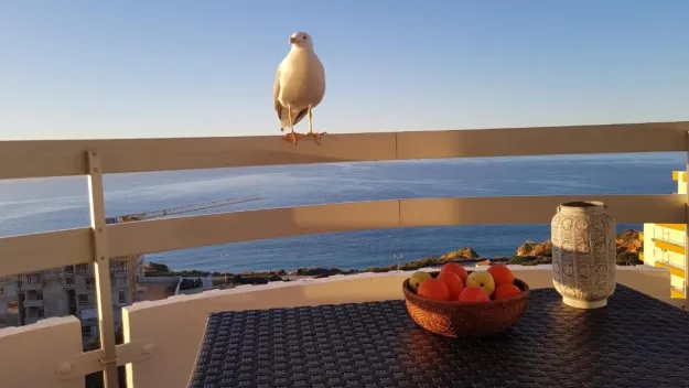 Ma vue mer en Algarve