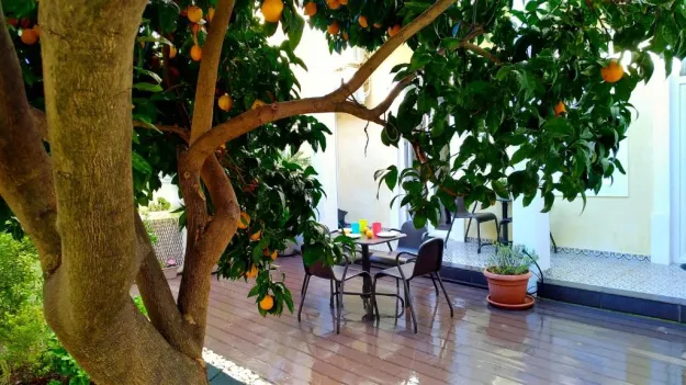 Sunny orange garden apartment in central Lisbon