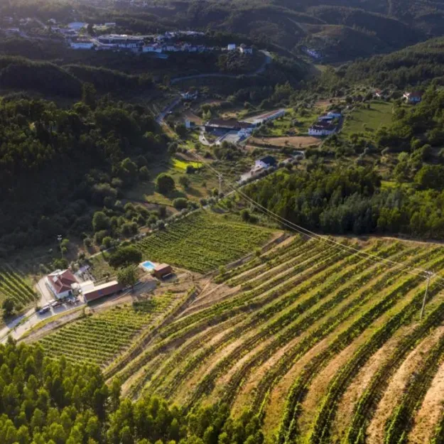 Quinta da Aldeia Nova