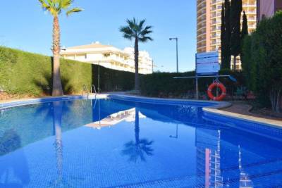 New apartment with pool view- Praia da Rocha