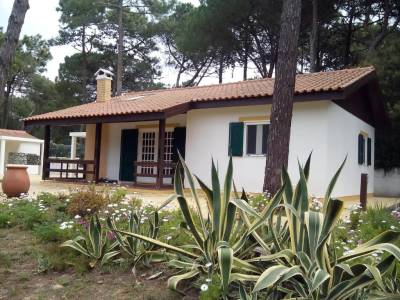 Casa no Pinhal