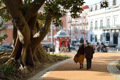 Chiado to Principe Real: Uncover cultural gems on this walking audio tour