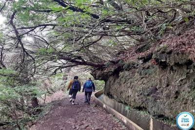 Private Guided Walk Levada Ribeiro Frio to Portela