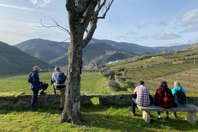 HIKE at DOURO VALLEY w/ winery visit and tasting