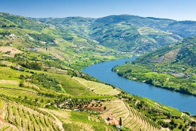 Porto & Douro Valley from Lisbon - Private Tour 2 Days
