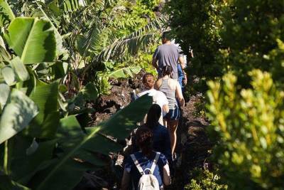 Banana Trip - Full day private tour to Pico with Round Trip from Faial