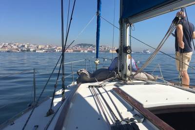 Lisbon sailing day cruise with bottle of wine & snacks