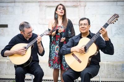 Live Fado show & Traditional Dinner with Private Night Tour