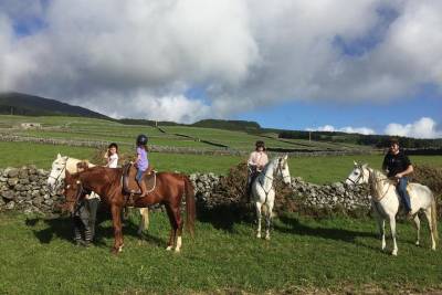 volcano ride - panoramic view of the entire southern coast of Terceira Island