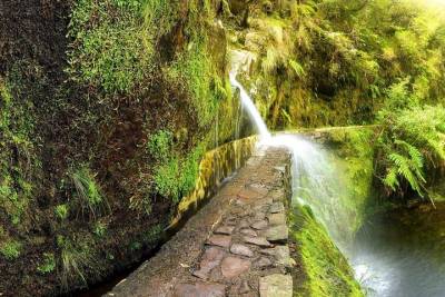 Walk Ribeiro Frio to Portela - The most amazing trek