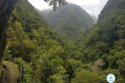 Private Guided Walk Levada Castelejo