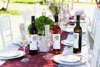 Wine & Food Pairing - Albufeira Wine Estate & Vineyard Lunch