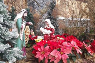 Private Madeira Christmas Nativity Scene Tour