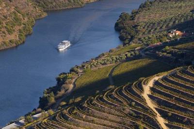 Day Cruise from Porto to Pinhão with Breakfast and Lunch