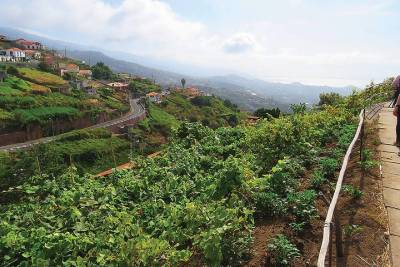 Levada do Estreito