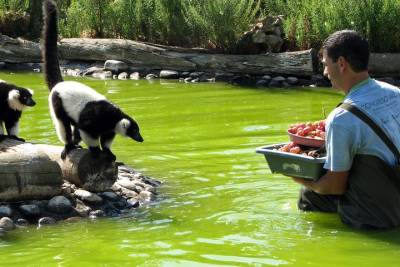 LET'S GO TO THE ZOO - Family day out