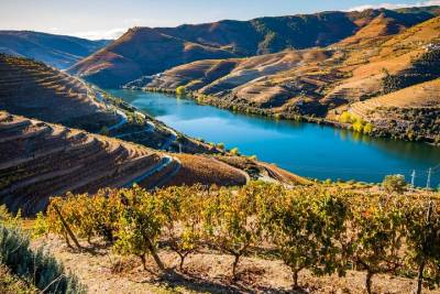 Private Full Day Douro Valley Tour