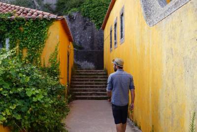 Get Lost in Sintra, Whit to Local