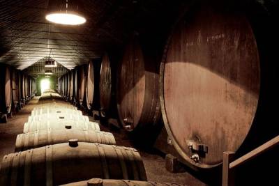 Full-Day Private South Bay Wine Experience from Lisbon