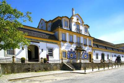 Setúbal Peninsula Private Wine Tour: Sesimbra, Azeitão and Arrábida